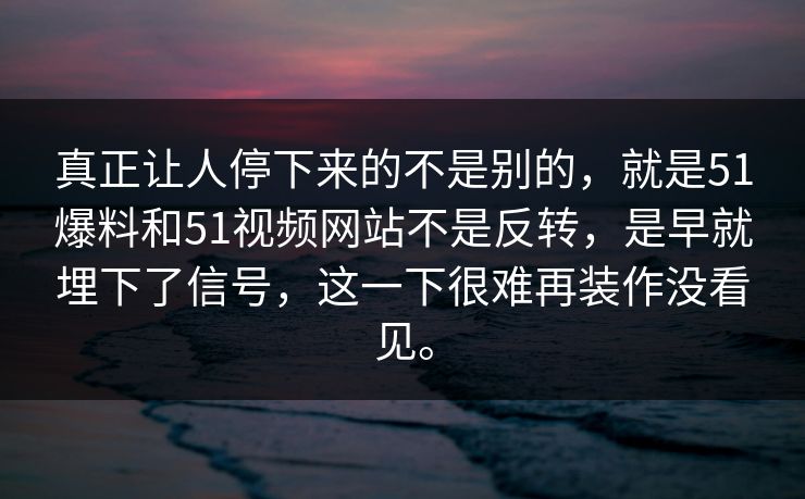 真正让人停下来的不是别的，就是51爆料和51视频网站不是反转，是早就埋下了信号，这一下很难再装作没看见。